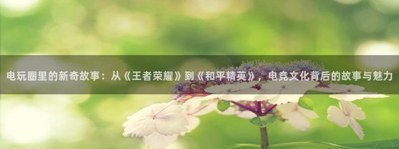 电玩圈里的新奇故事：从《王者荣耀》到《和平精英》，电竞文化背