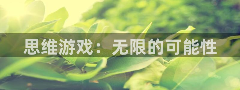 完美电竞进不去游戏：思维游戏：无限的可能性