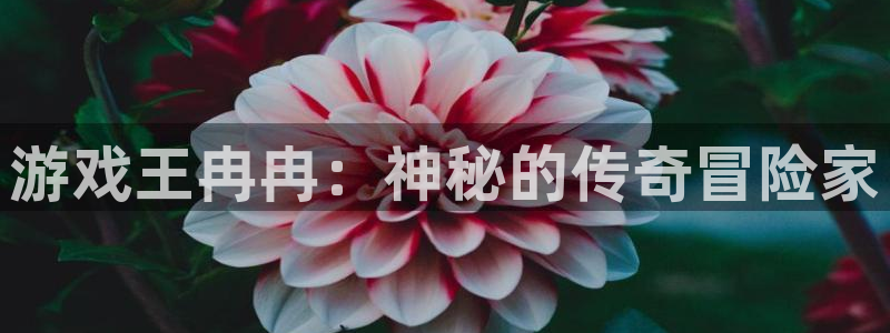 完美电竞兔管是谁：游戏王冉冉：神秘的传奇冒险家